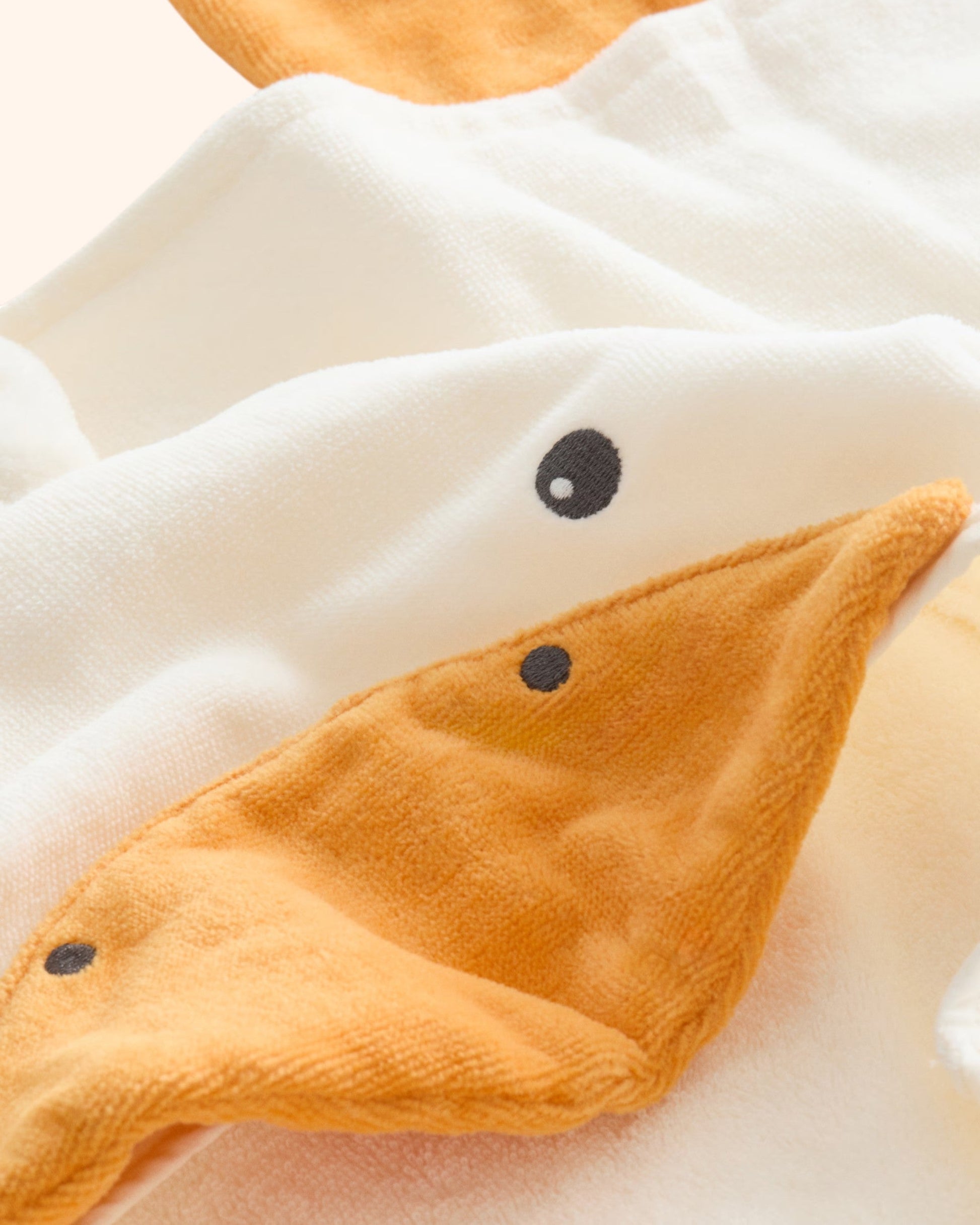 Cape Duck - 4