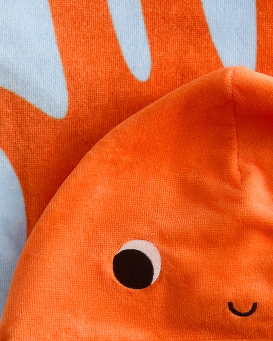 Cape Octopus - Detail 1