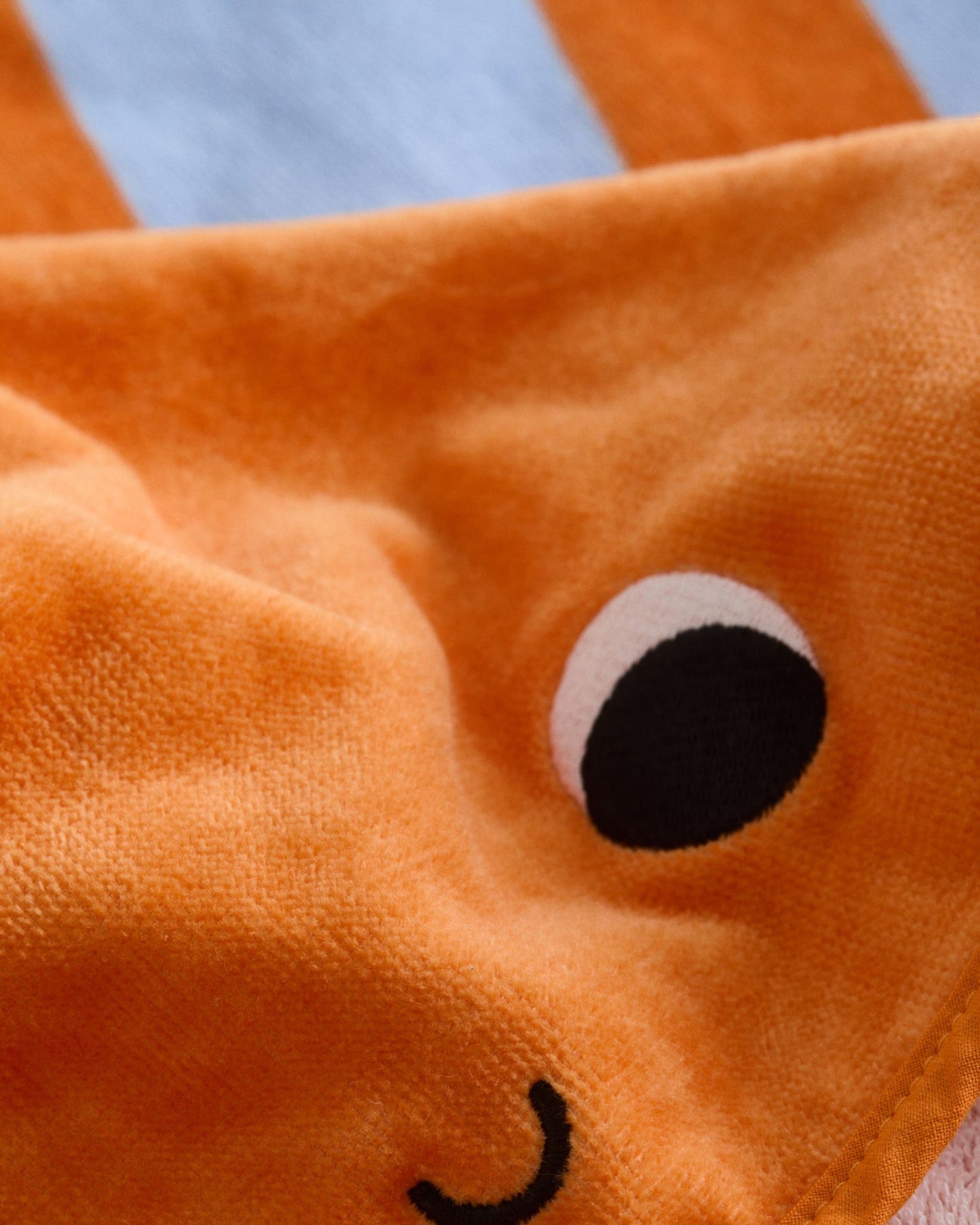 Cape Octopus - Detail 2